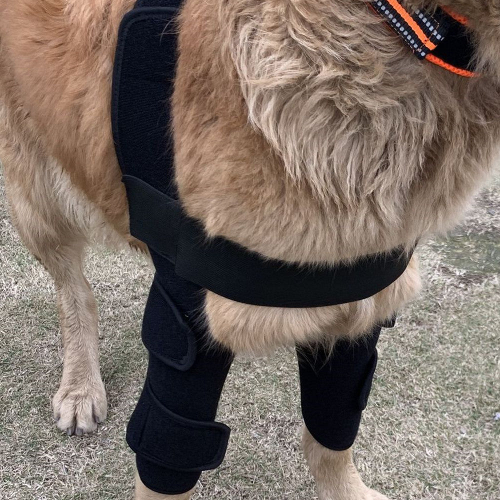 Pet Protector Knee Protection Cover